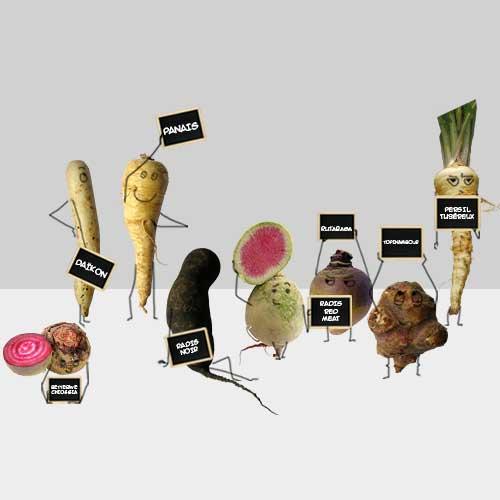 Les légumes du mois : les légumes insolites Les légumes du mois : les légumes insolites