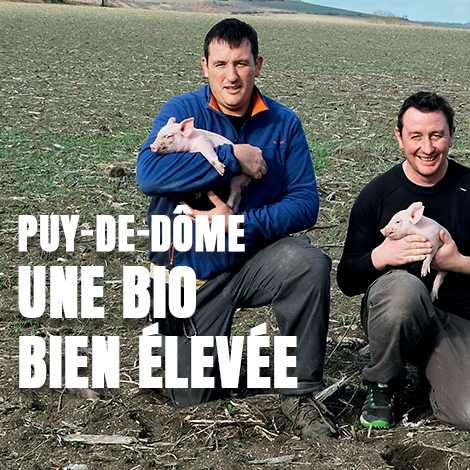 Puy-de-Dôme : une bio bien élevée Puy-de-Dôme : une bio bien élevée