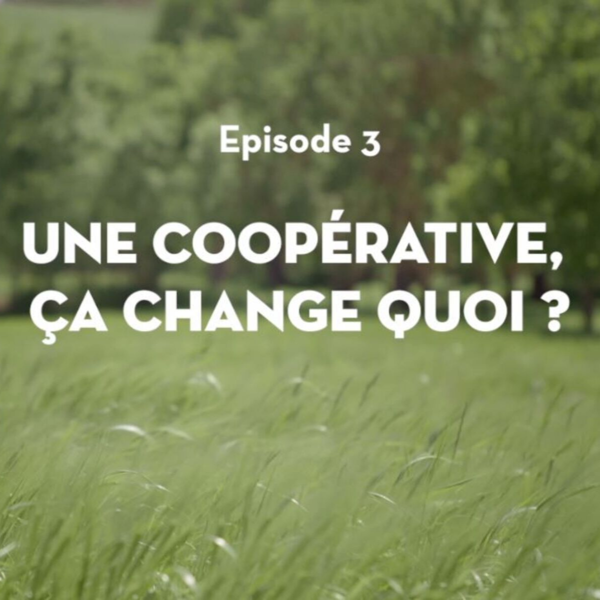 Que Biocoop soit une coopérative, ça change quoi concrètement pour moi ?