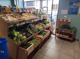 84-biocoop-marseille-endoume-magasin-bio-chou-celeri-fruit-legume-saison.webp